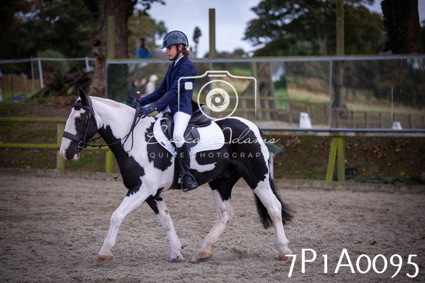 JHOYS 2025 - Dressage - 13th September