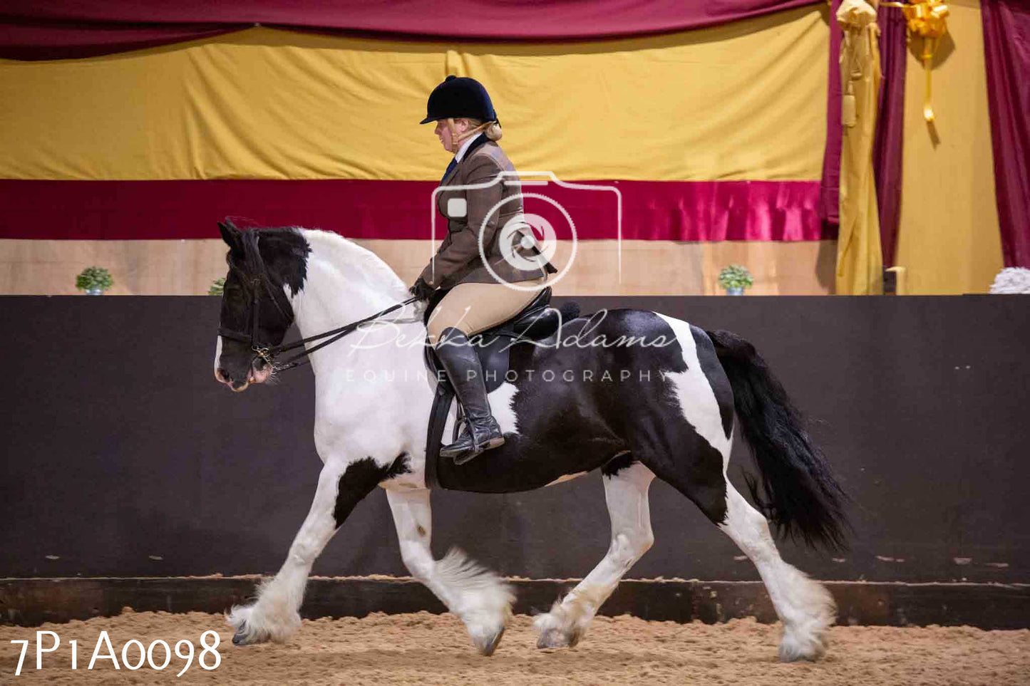 Home Farm Spring Show - Ridden Showing 24th March 2024 - Part 1