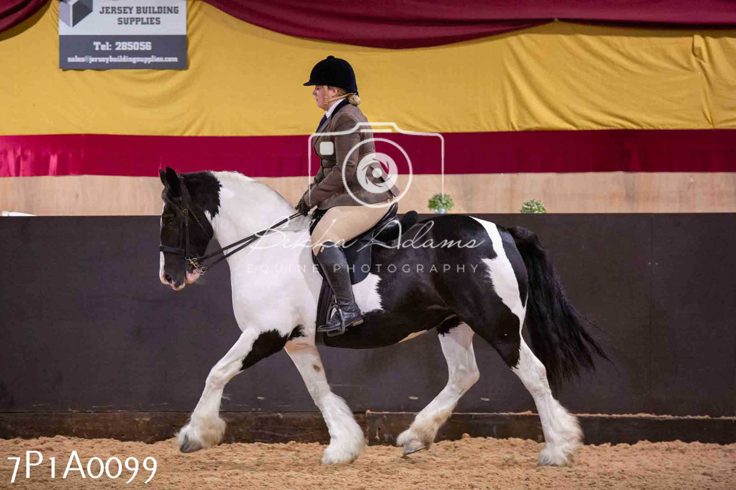 Home Farm Spring Show - Ridden Showing 24th March 2024 - Part 1
