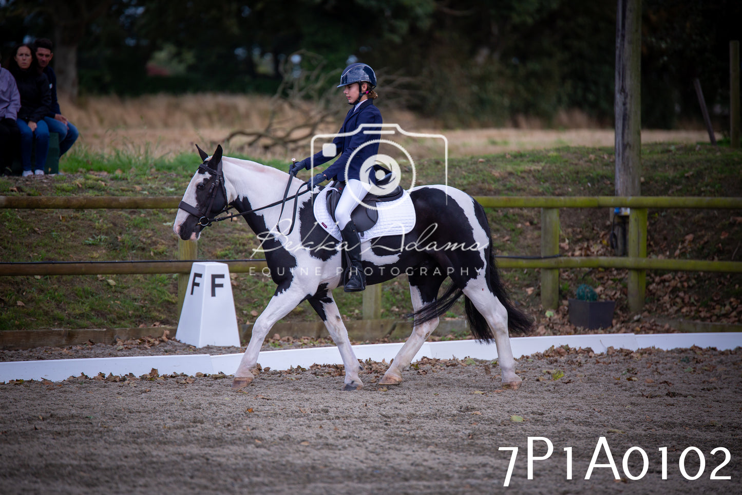 JHOYS 2025 - Dressage - 13th September