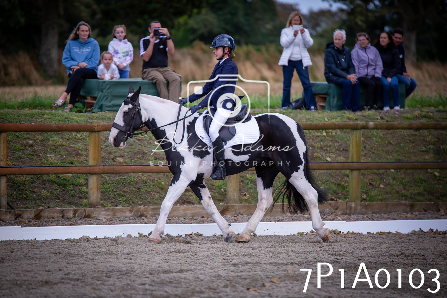 JHOYS 2025 - Dressage - 13th September