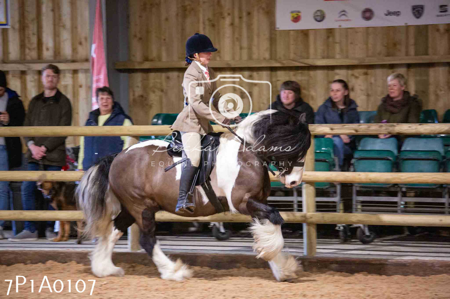 Home Farm Spring Show - Ridden Showing 24th March 2024 - Part 1