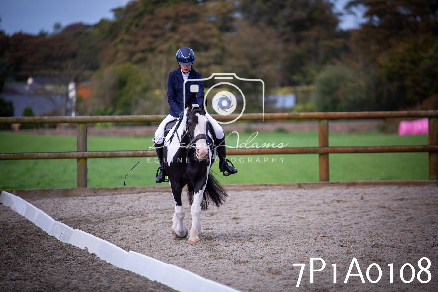 JHOYS 2025 - Dressage - 13th September