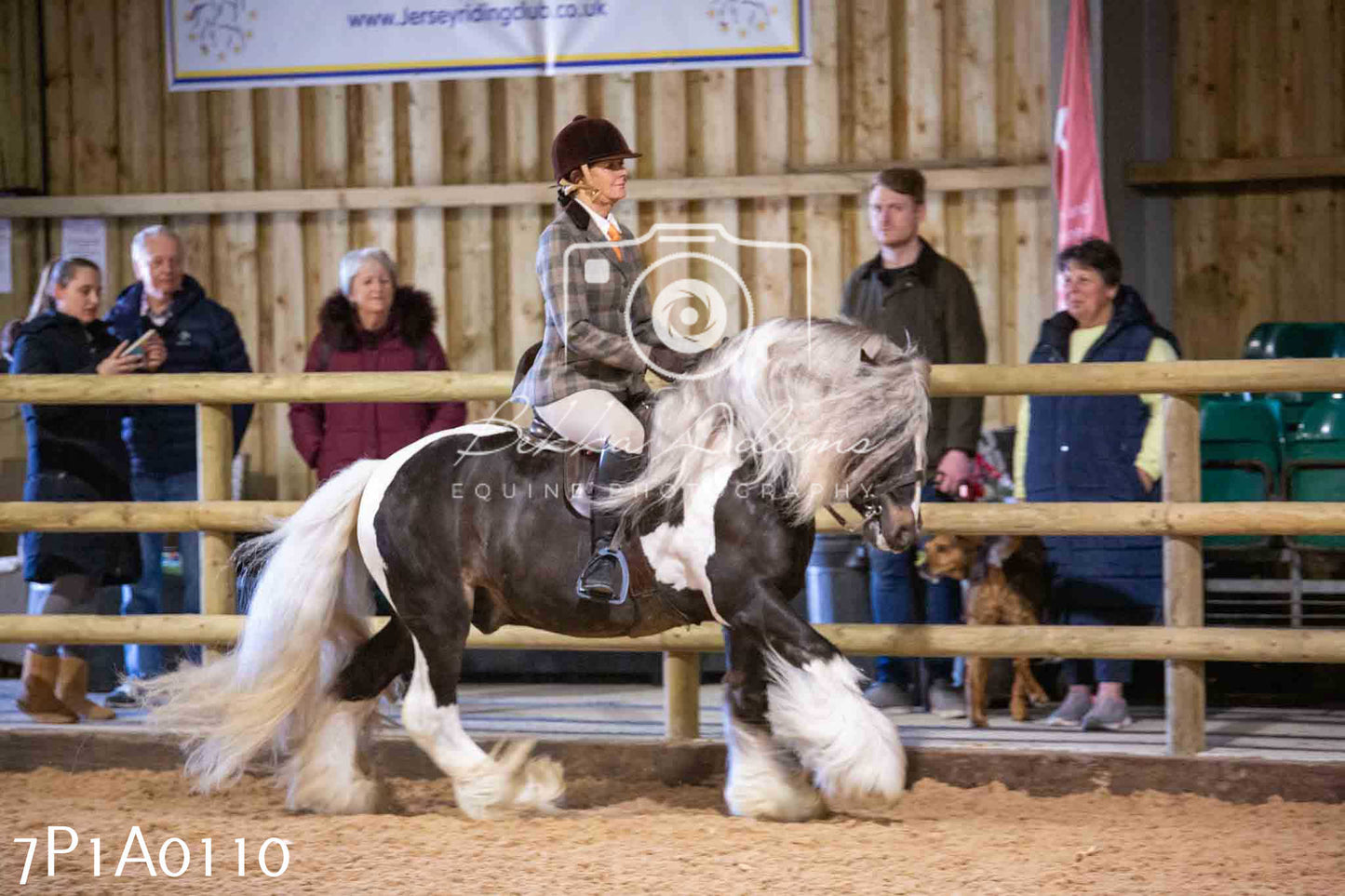 Home Farm Spring Show - Ridden Showing 24th March 2024 - Part 1