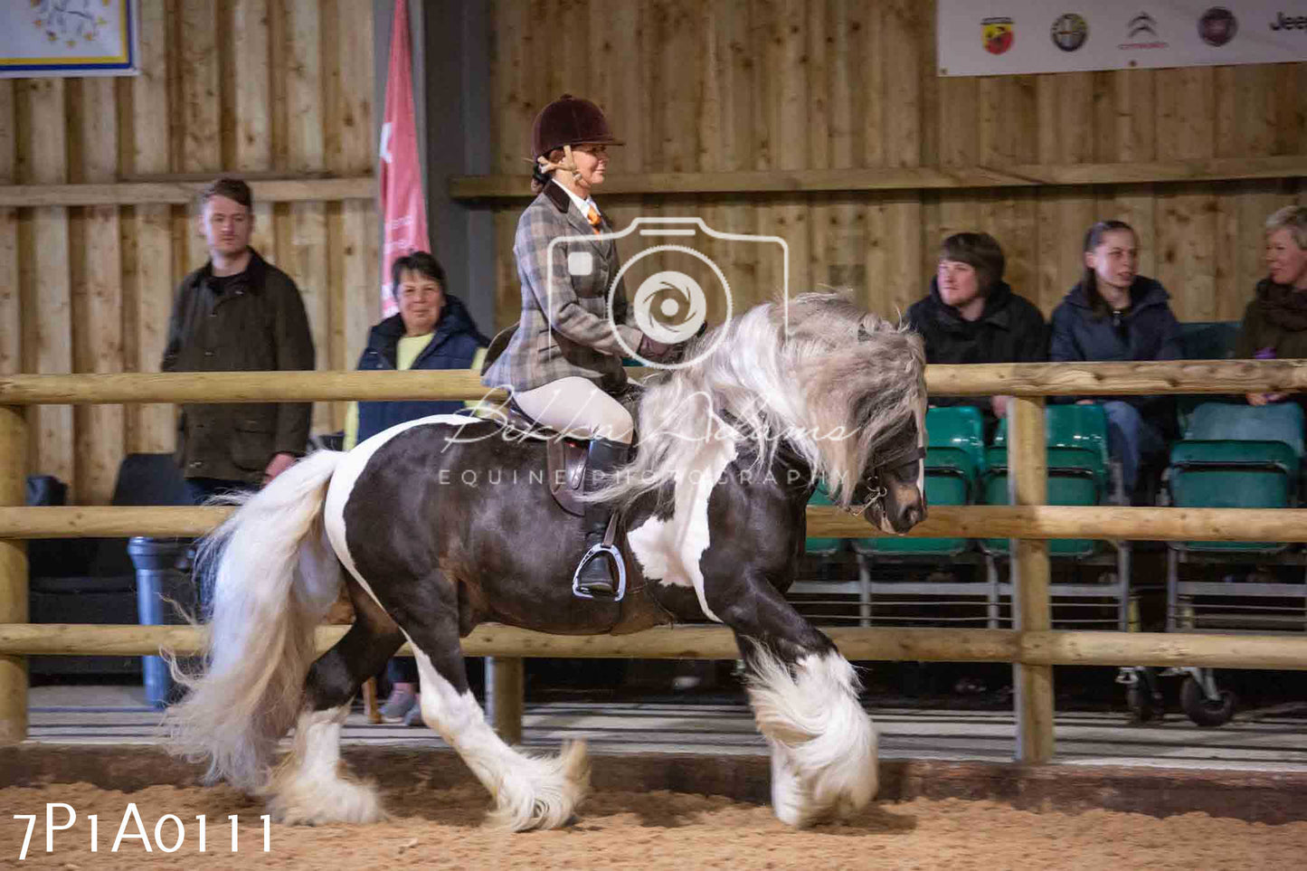 Home Farm Spring Show - Ridden Showing 24th March 2024 - Part 1