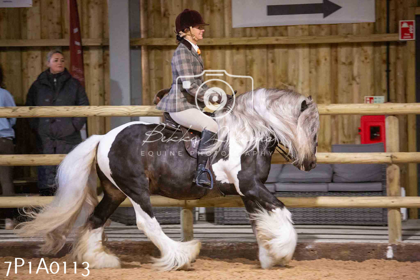 Home Farm Spring Show - Ridden Showing 24th March 2024 - Part 1