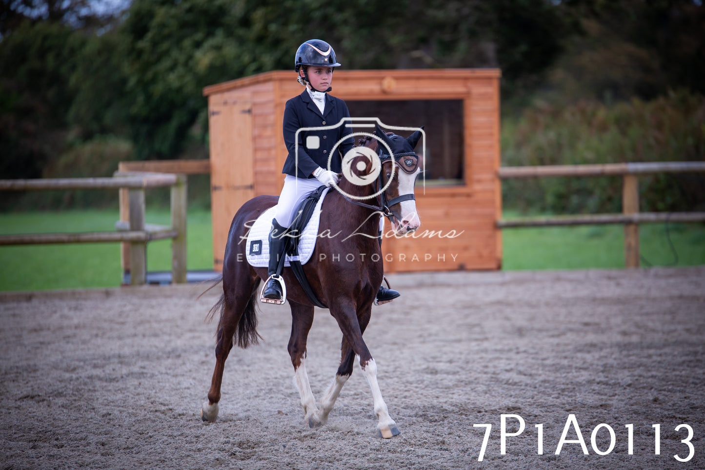 JHOYS 2025 - Dressage - 13th September