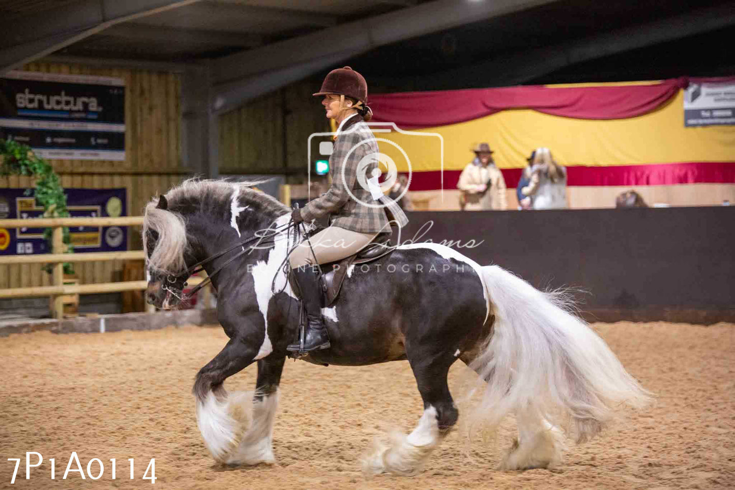 Home Farm Spring Show - Ridden Showing 24th March 2024 - Part 1