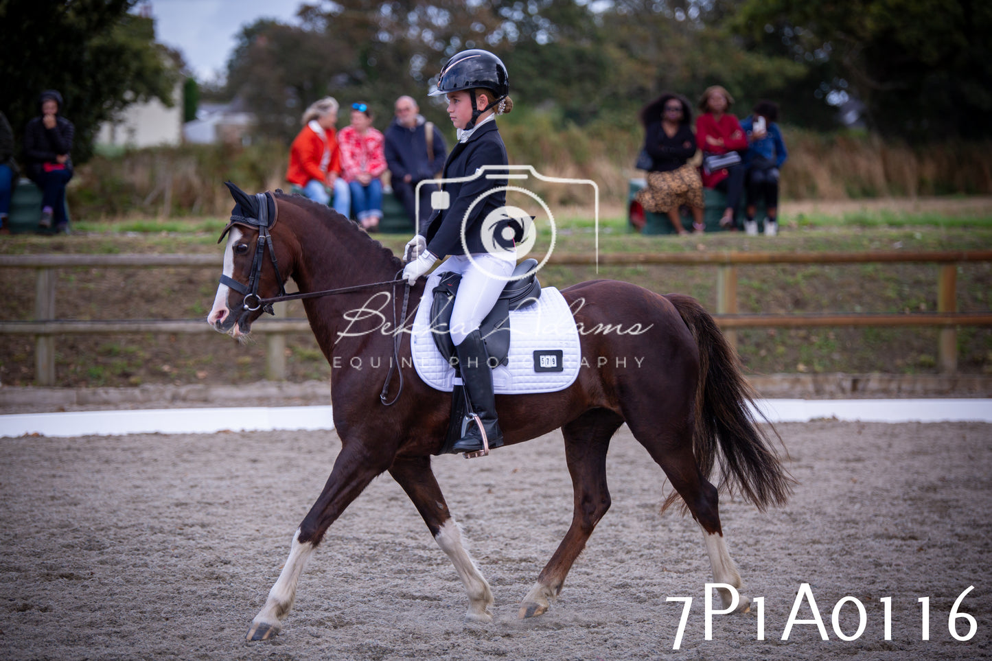 JHOYS 2025 - Dressage - 13th September
