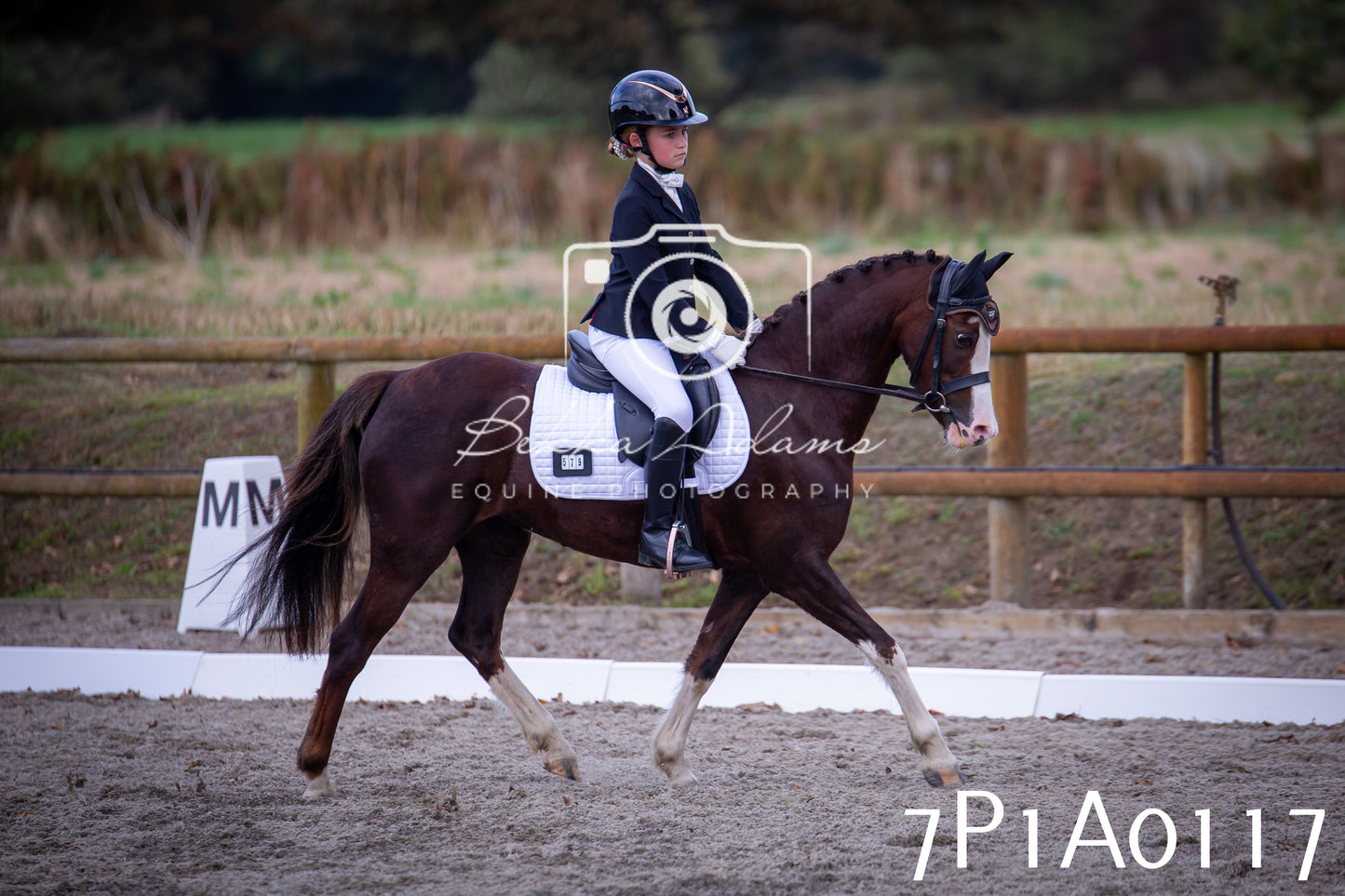 JHOYS 2025 - Dressage - 13th September