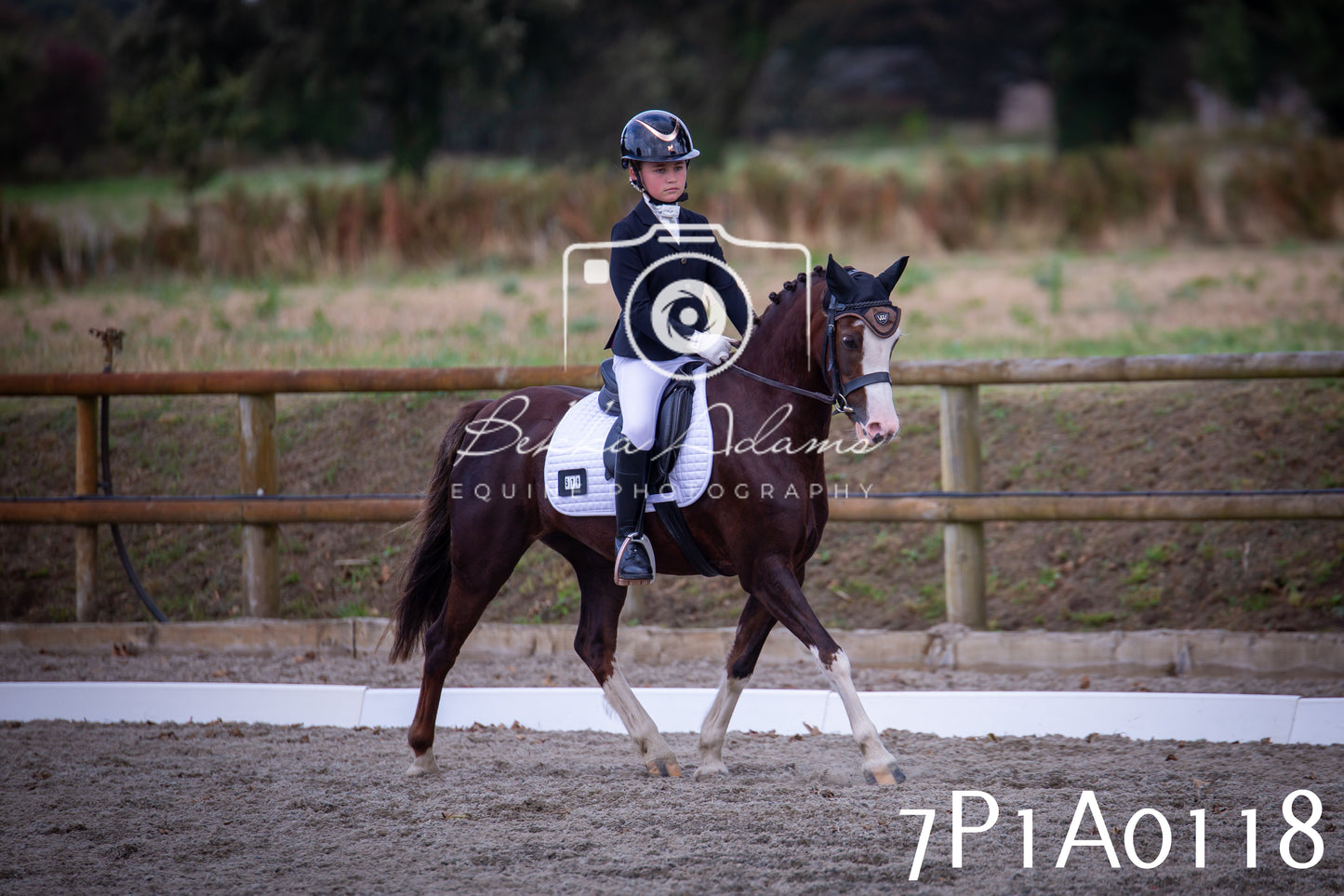 JHOYS 2025 - Dressage - 13th September