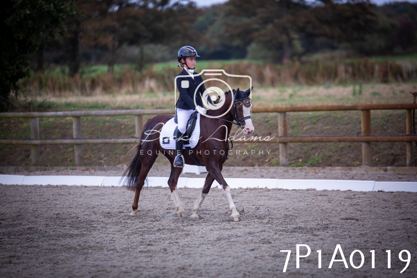 JHOYS 2025 - Dressage - 13th September