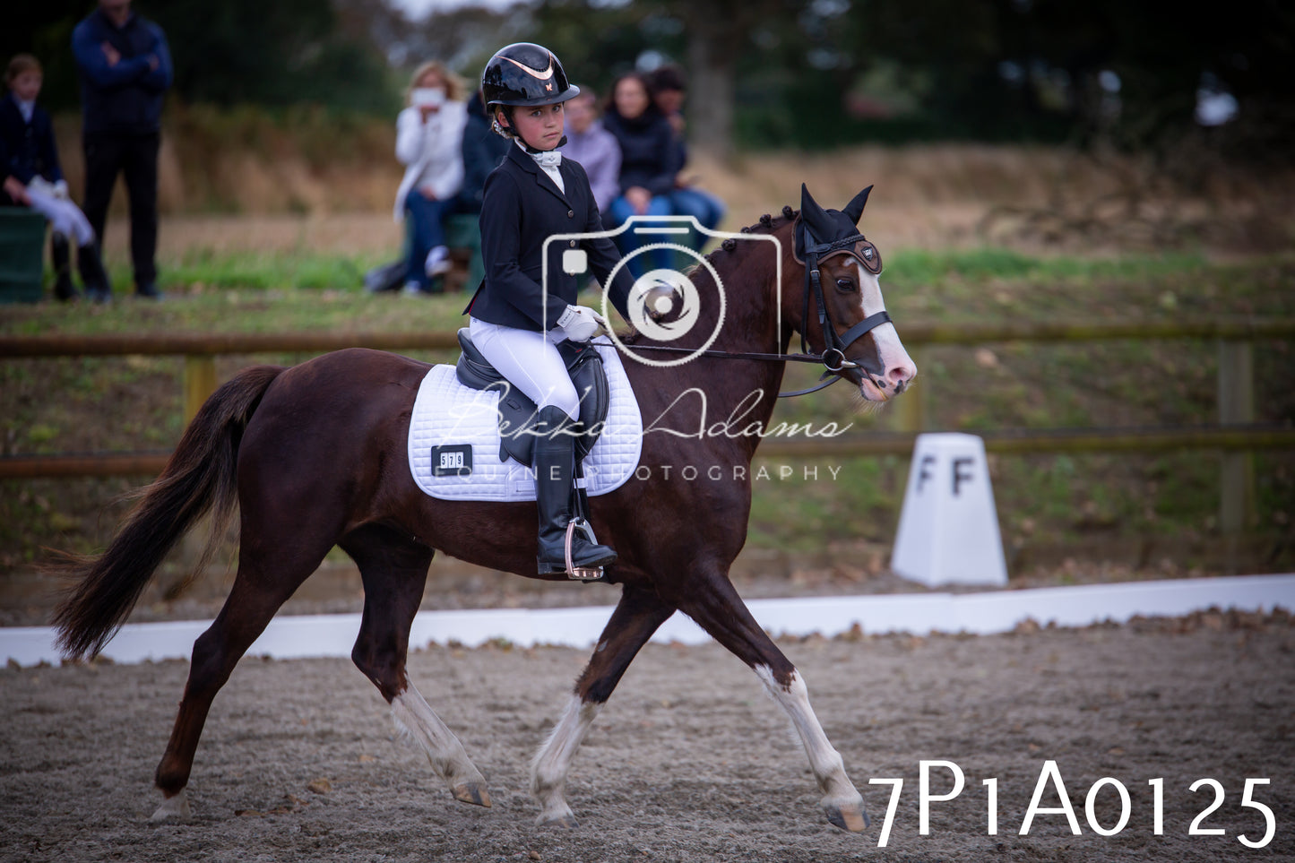 JHOYS 2025 - Dressage - 13th September