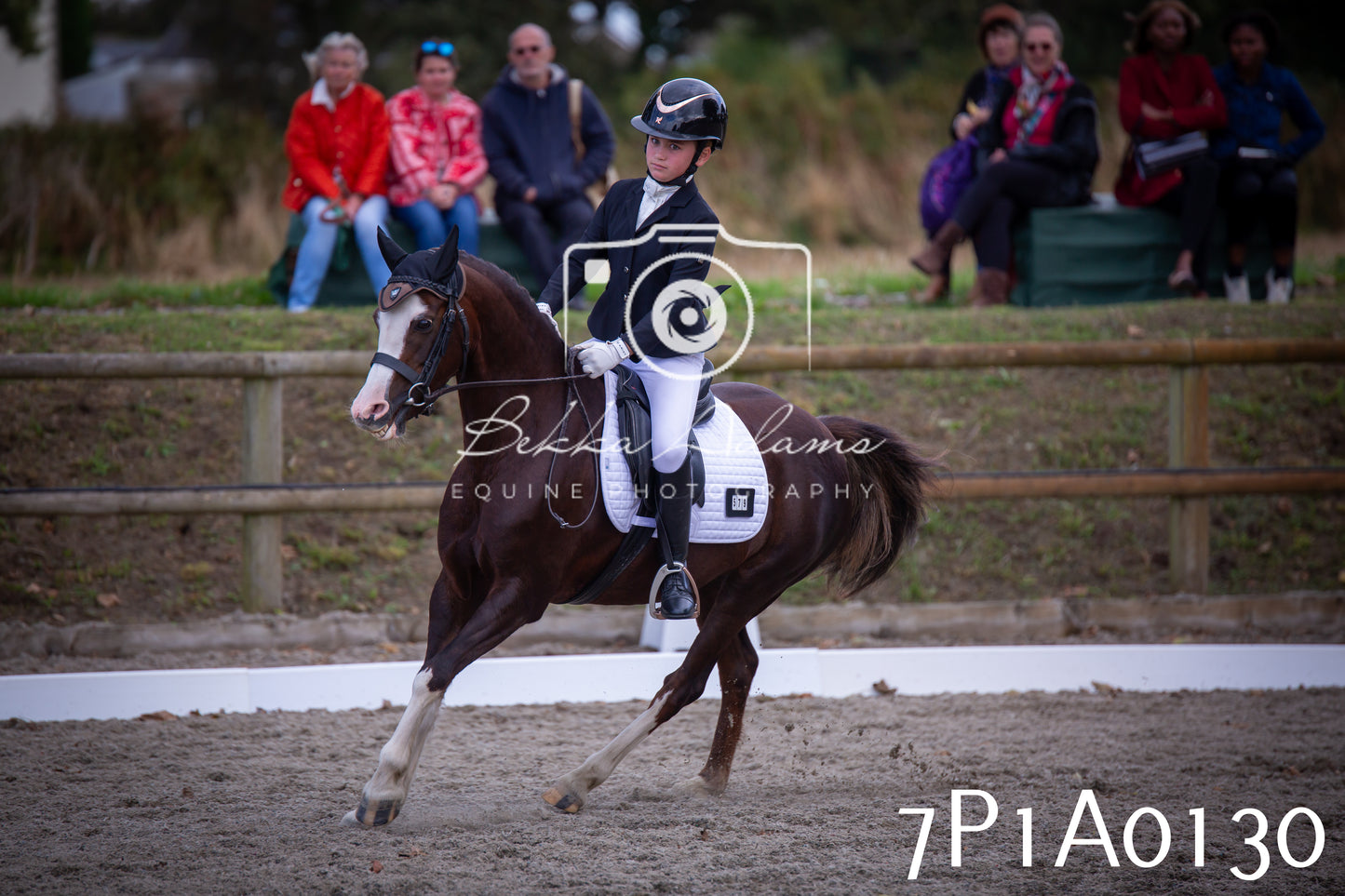 JHOYS 2025 - Dressage - 13th September