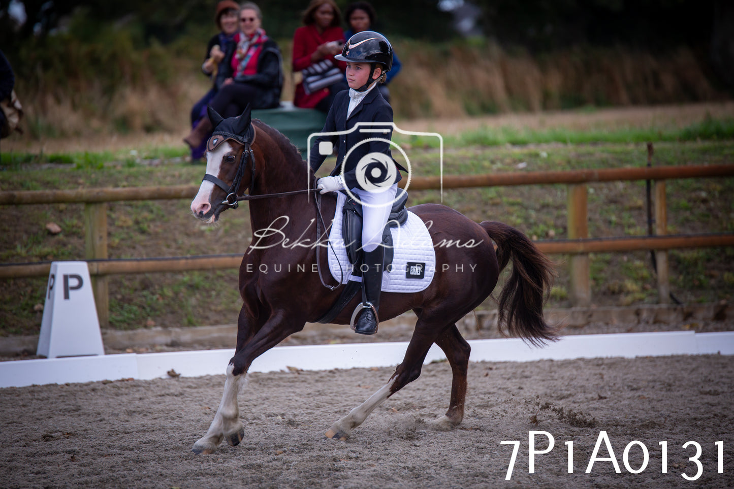 JHOYS 2025 - Dressage - 13th September