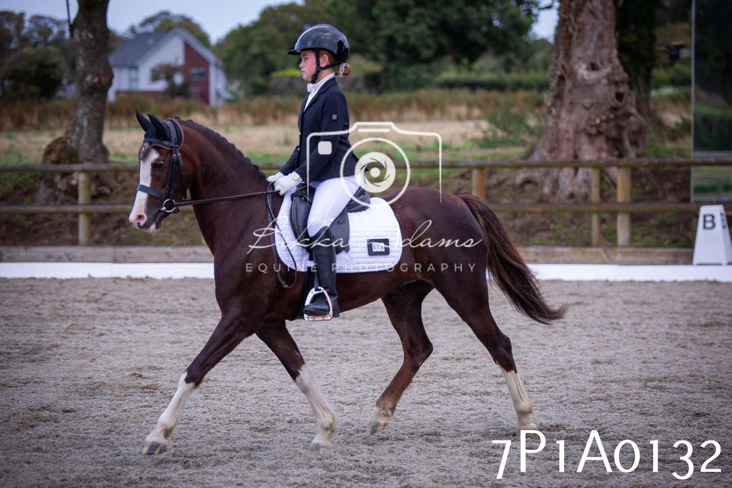 JHOYS 2025 - Dressage - 13th September
