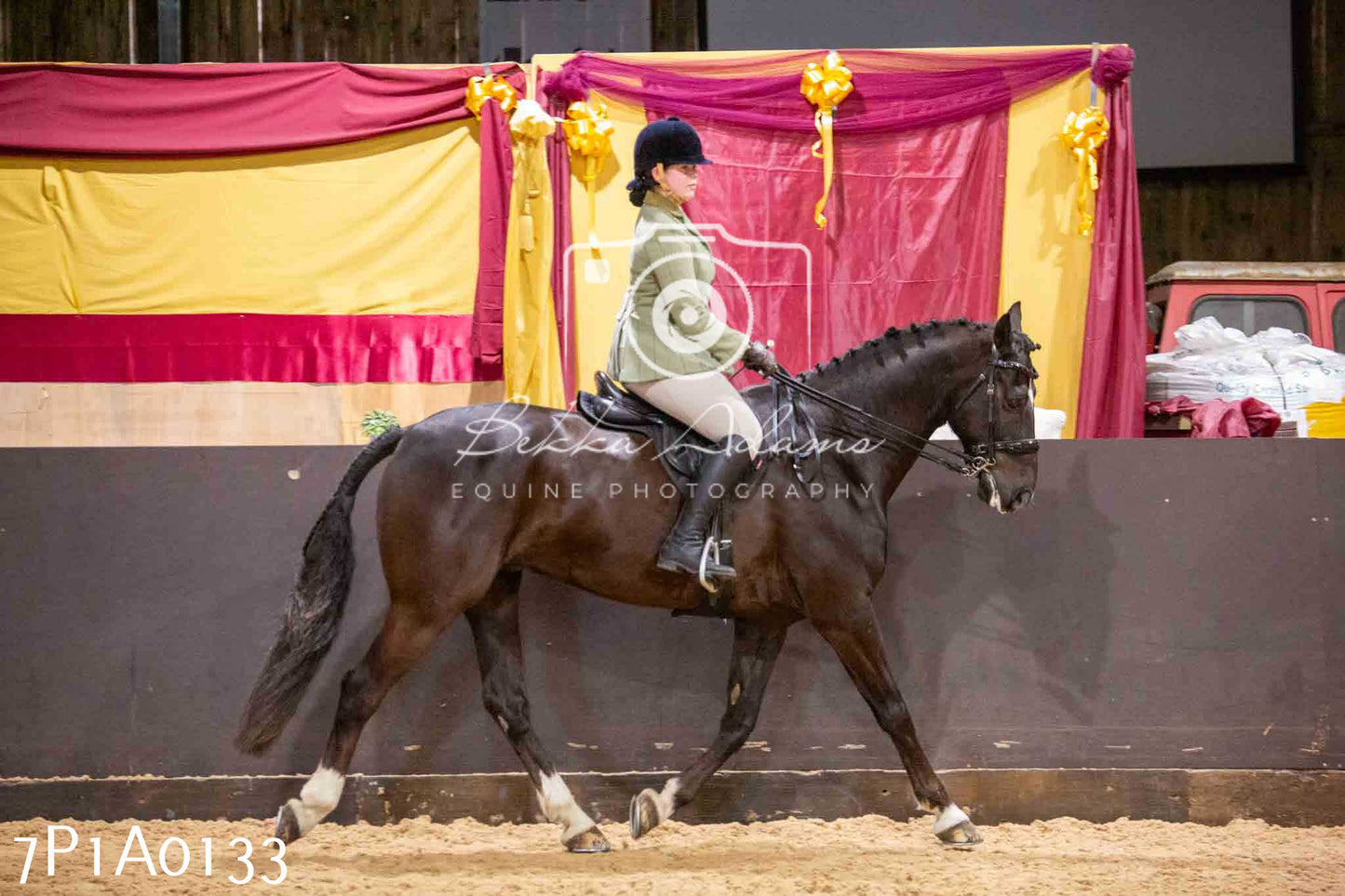 Home Farm Spring Show - Ridden Showing 24th March 2024 - Part 1