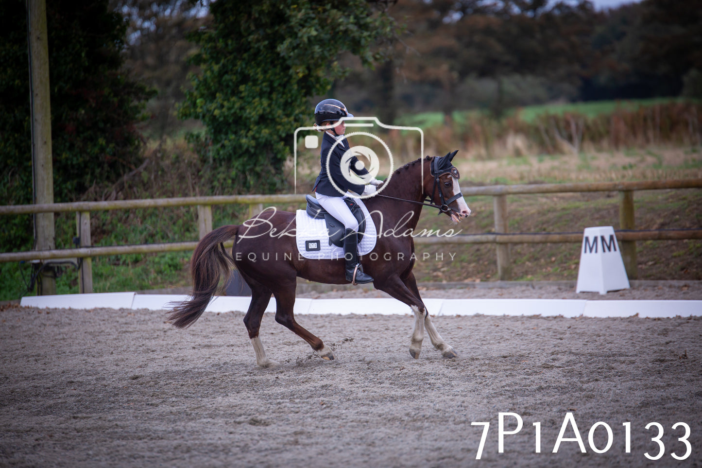 JHOYS 2025 - Dressage - 13th September