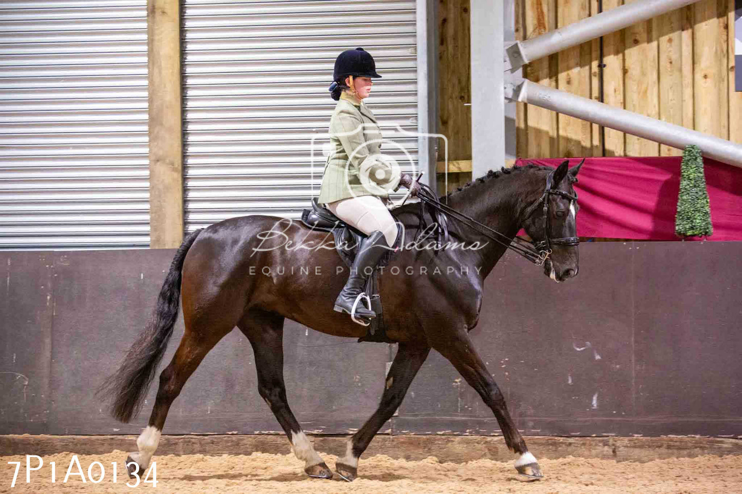 Home Farm Spring Show - Ridden Showing 24th March 2024 - Part 1
