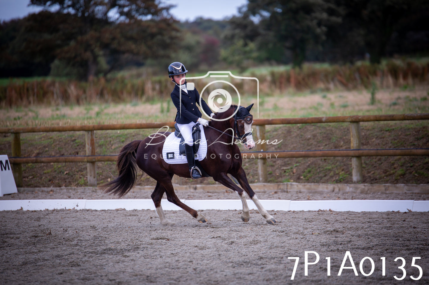 JHOYS 2025 - Dressage - 13th September