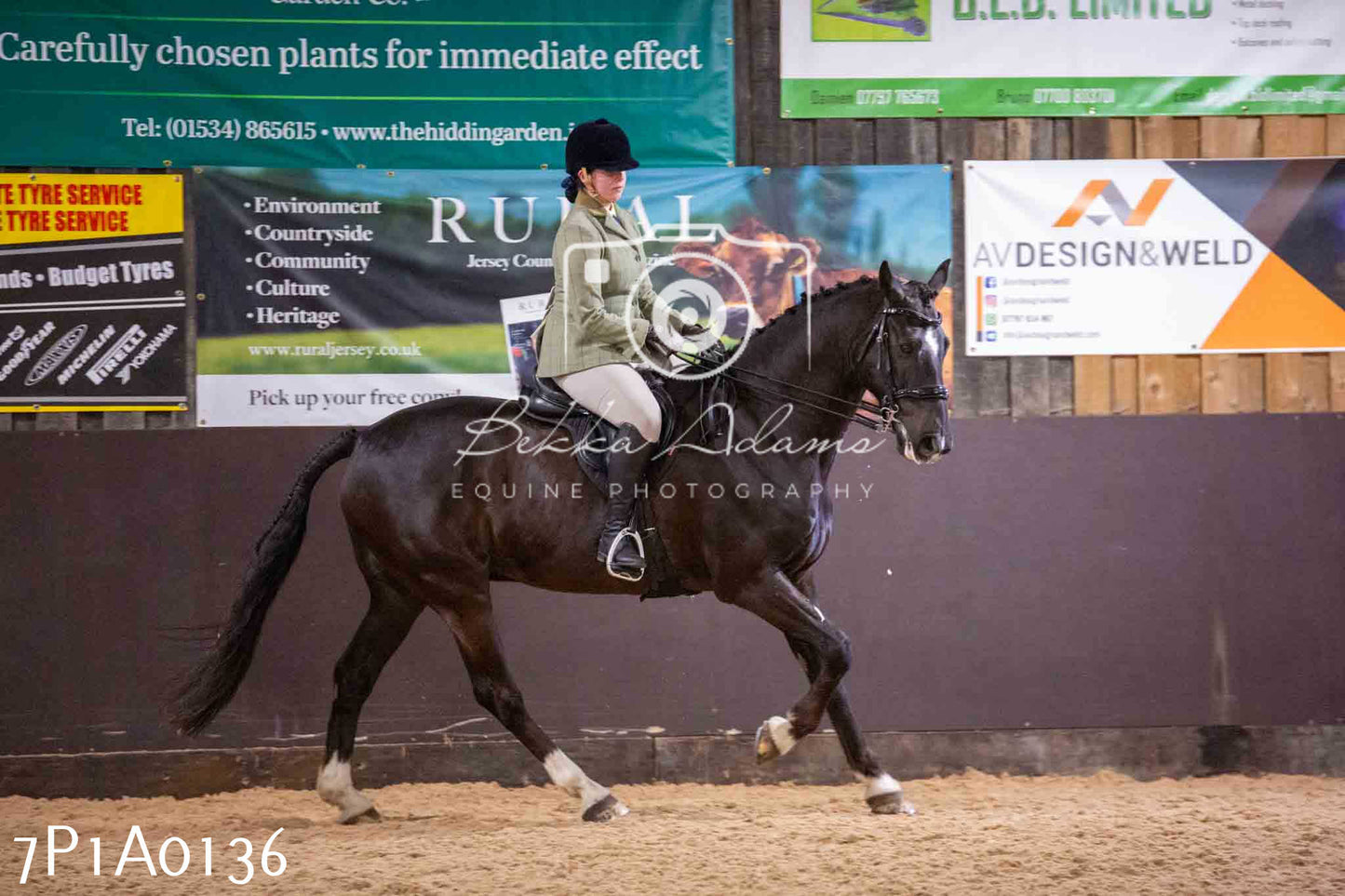 Home Farm Spring Show - Ridden Showing 24th March 2024 - Part 1