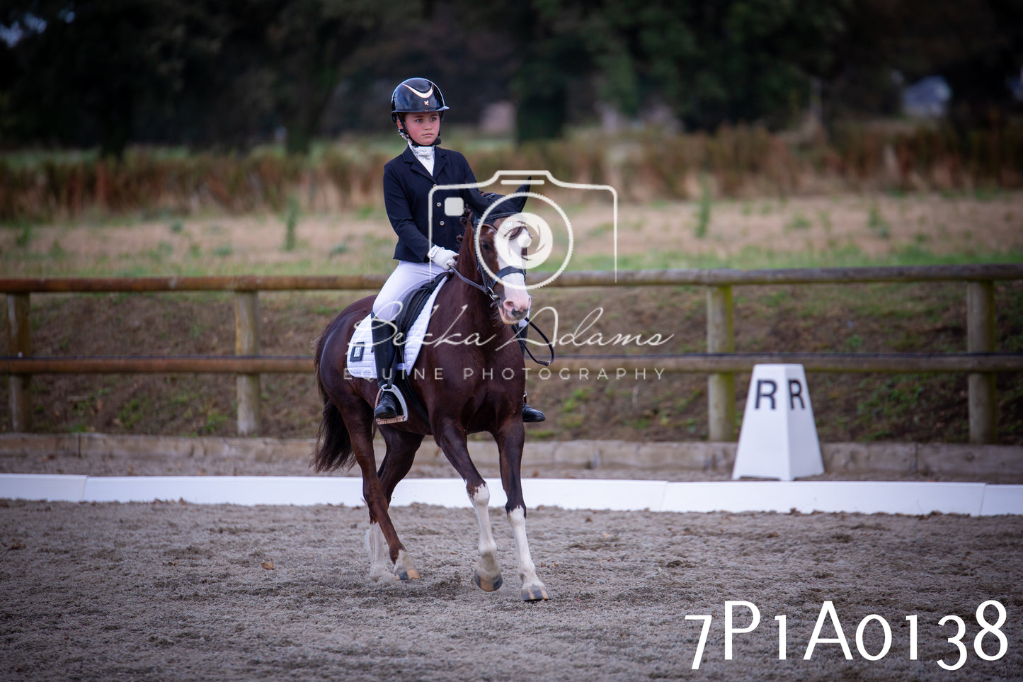 JHOYS 2025 - Dressage - 13th September