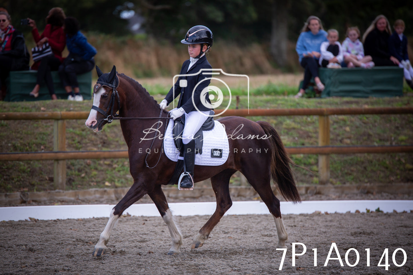 JHOYS 2025 - Dressage - 13th September