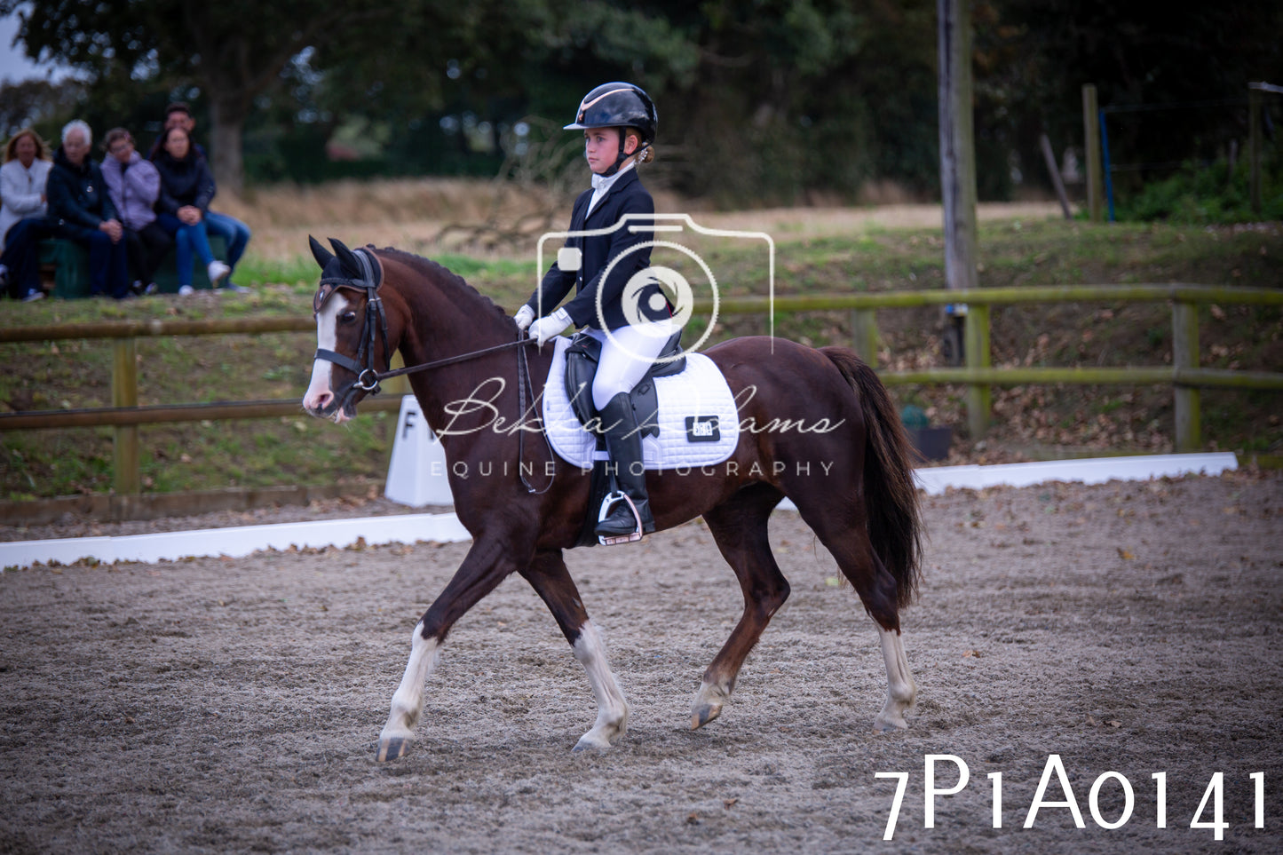 JHOYS 2025 - Dressage - 13th September