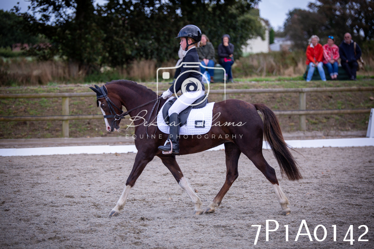 JHOYS 2025 - Dressage - 13th September