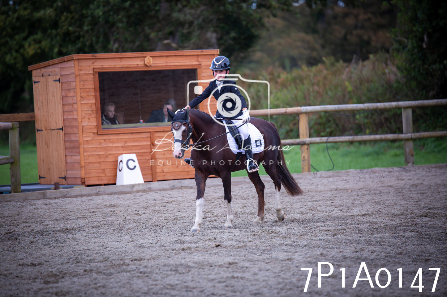 JHOYS 2025 - Dressage - 13th September
