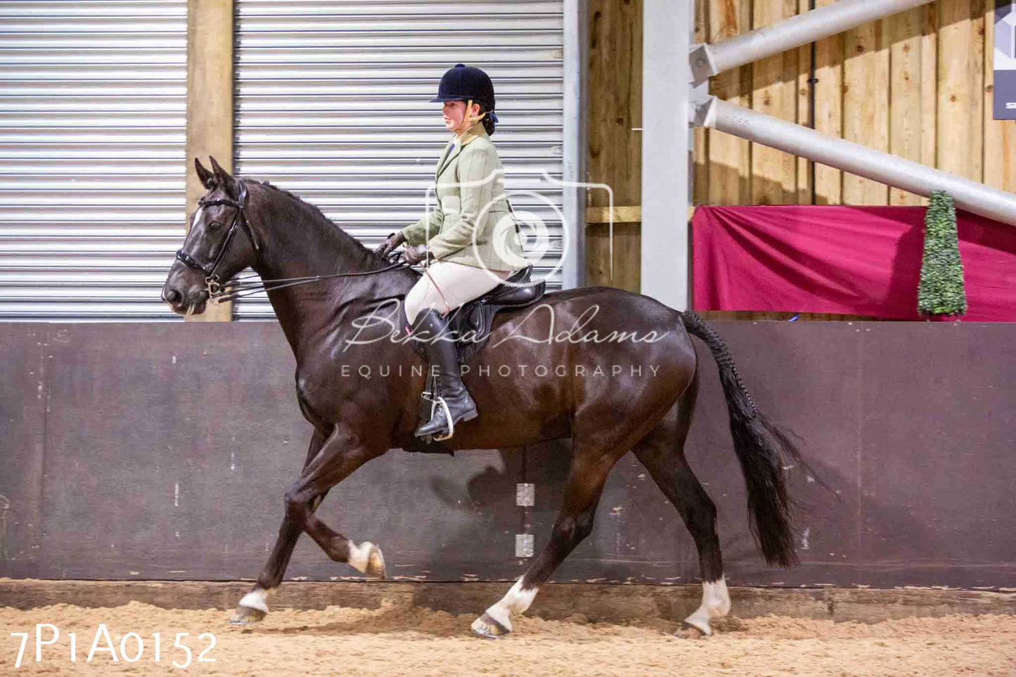 Home Farm Spring Show - Ridden Showing 24th March 2024 - Part 1