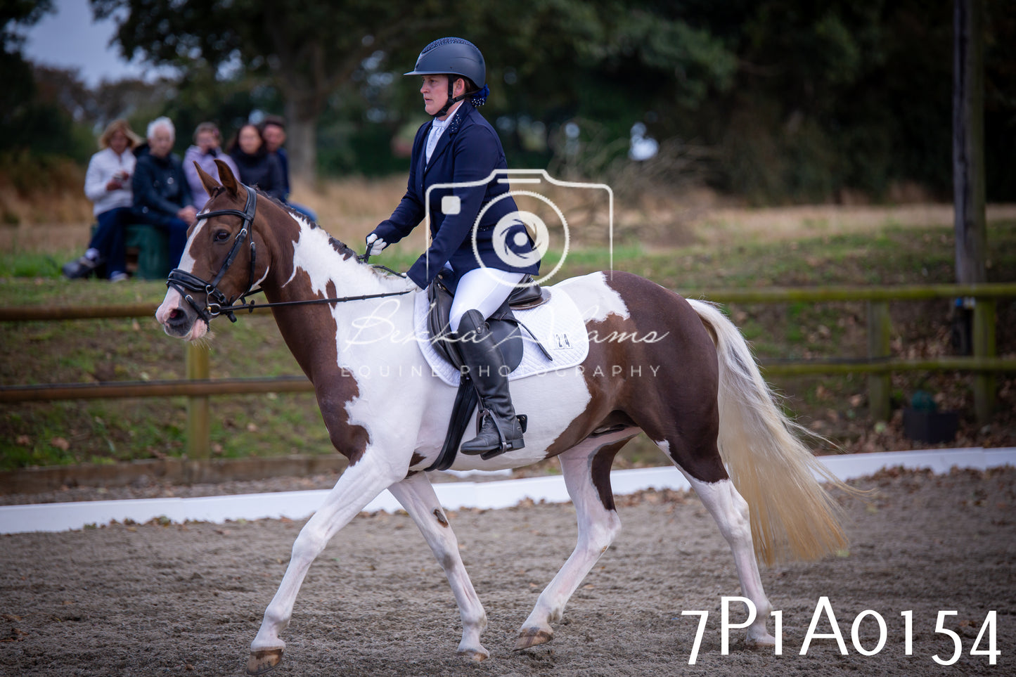 JHOYS 2025 - Dressage - 13th September