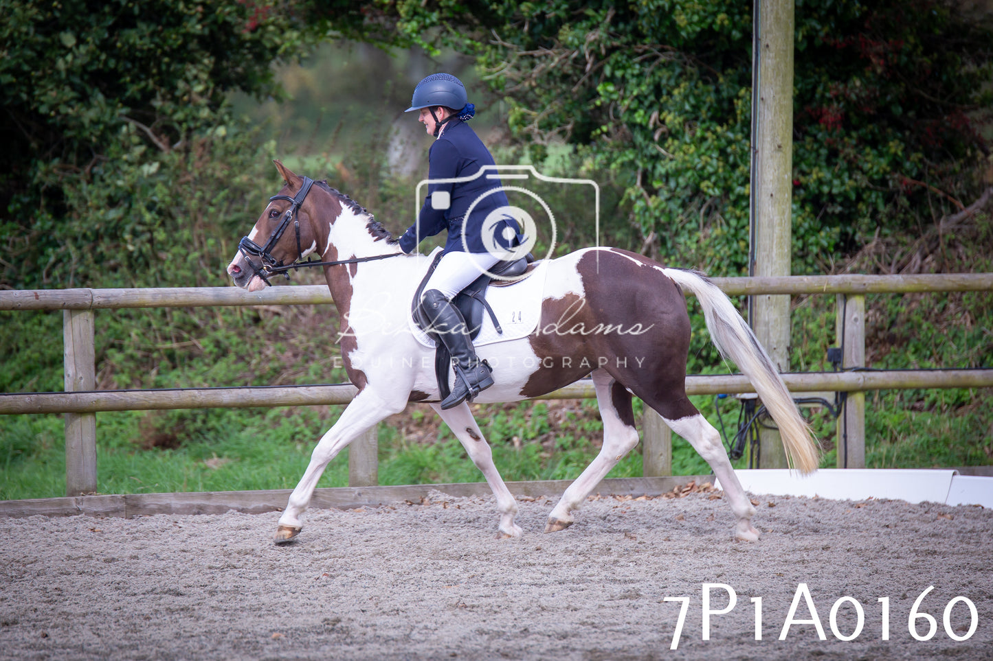JHOYS 2025 - Dressage - 13th September