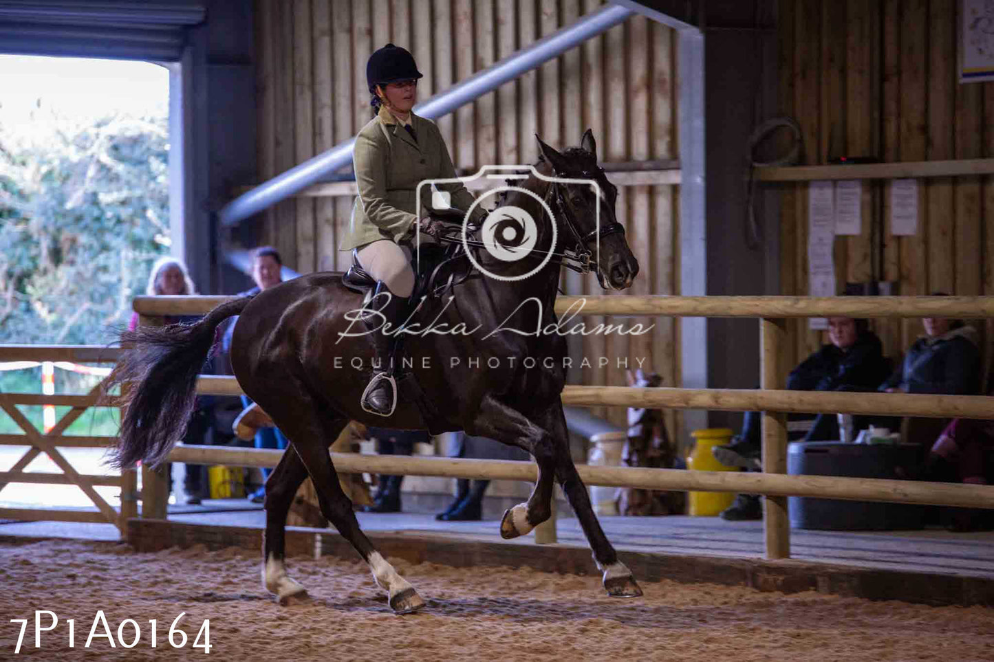 Home Farm Spring Show - Ridden Showing 24th March 2024 - Part 1