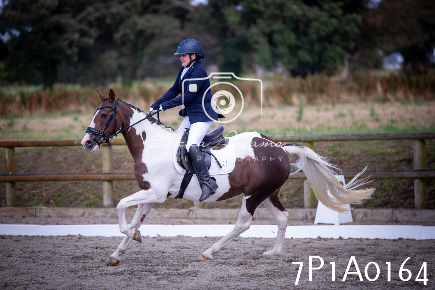JHOYS 2025 - Dressage - 13th September