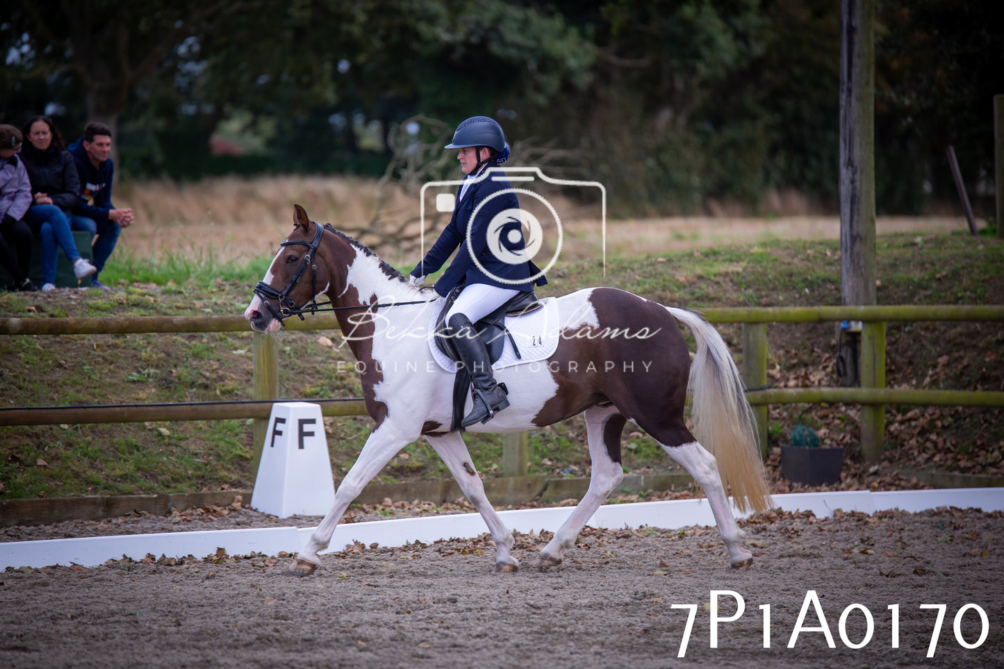 JHOYS 2025 - Dressage - 13th September