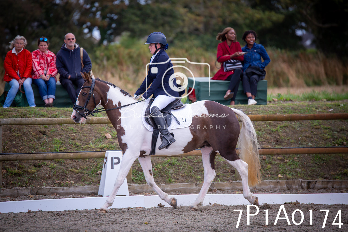 JHOYS 2025 - Dressage - 13th September