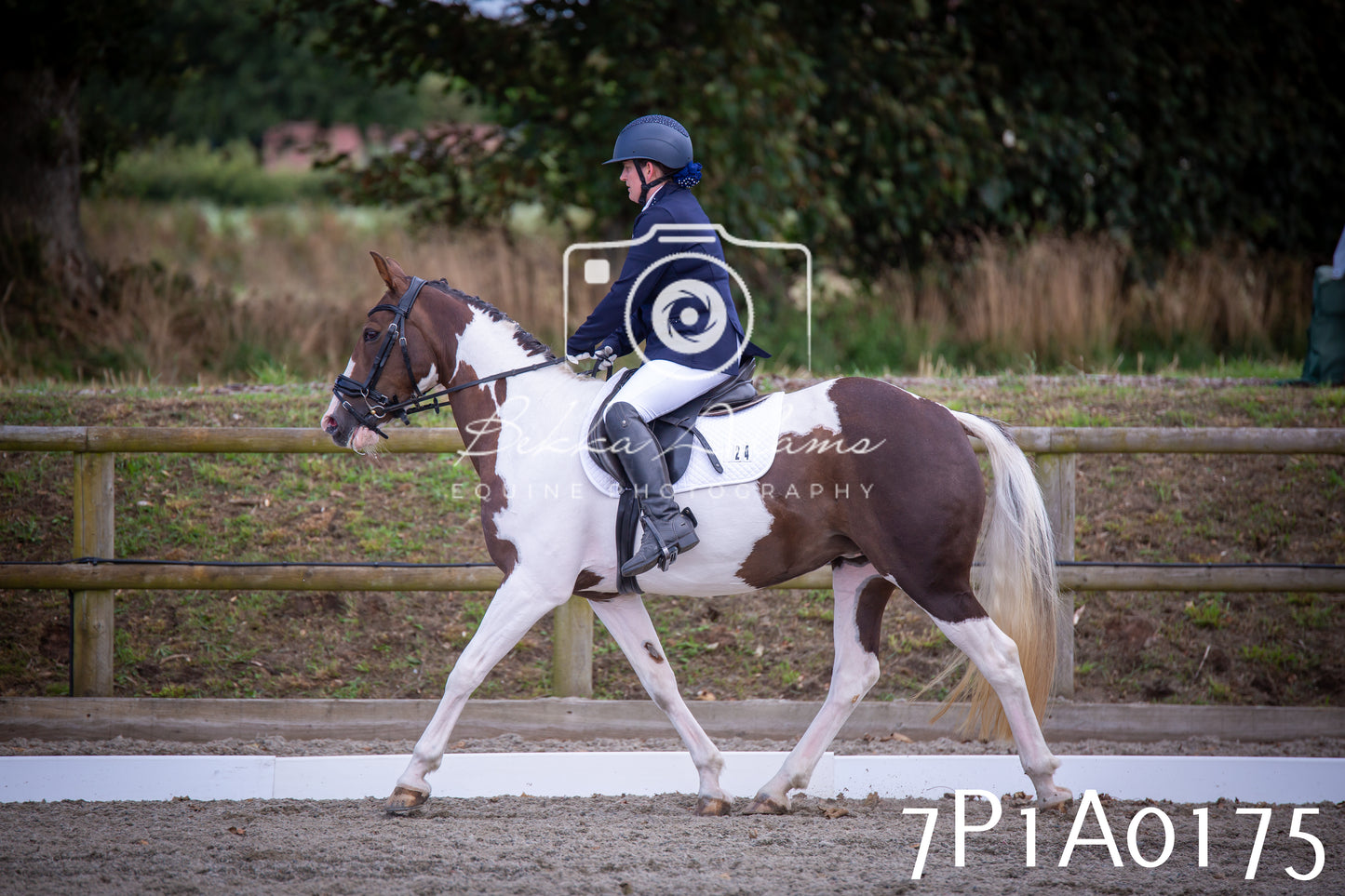 JHOYS 2025 - Dressage - 13th September