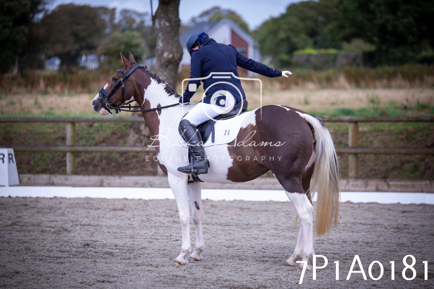 JHOYS 2025 - Dressage - 13th September