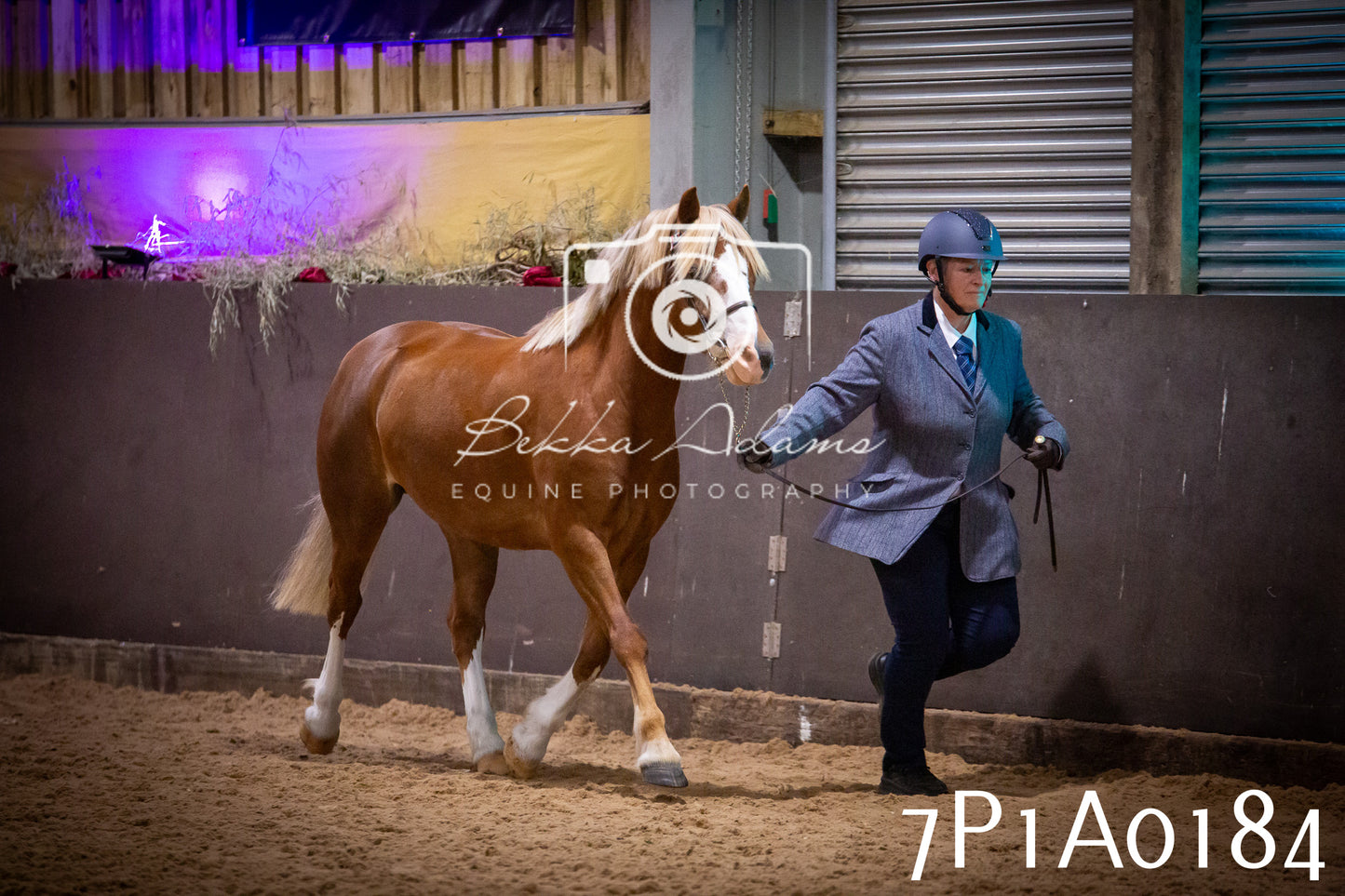 JHOYS 2025 - In hand Showing - 27th September pt1