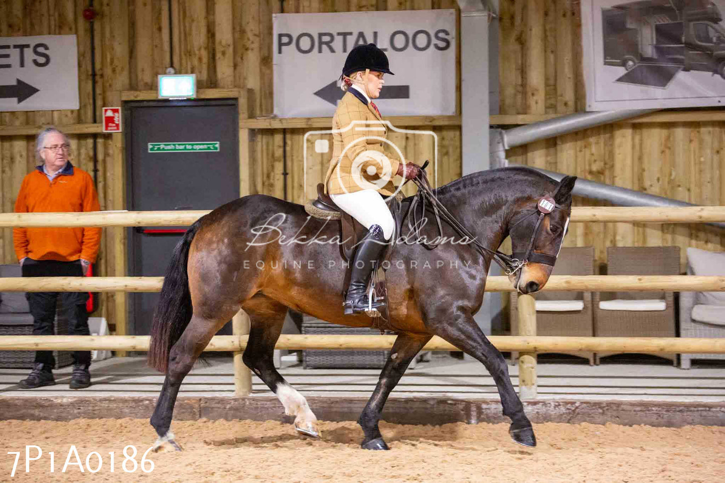 Home Farm Spring Show - Ridden Showing 24th March 2024 - Part 1