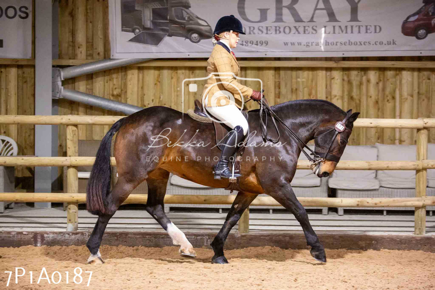 Home Farm Spring Show - Ridden Showing 24th March 2024 - Part 1