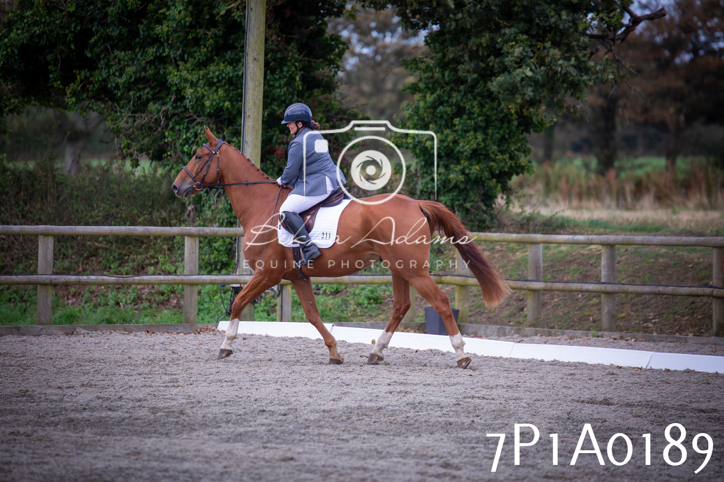 JHOYS 2025 - Dressage - 13th September