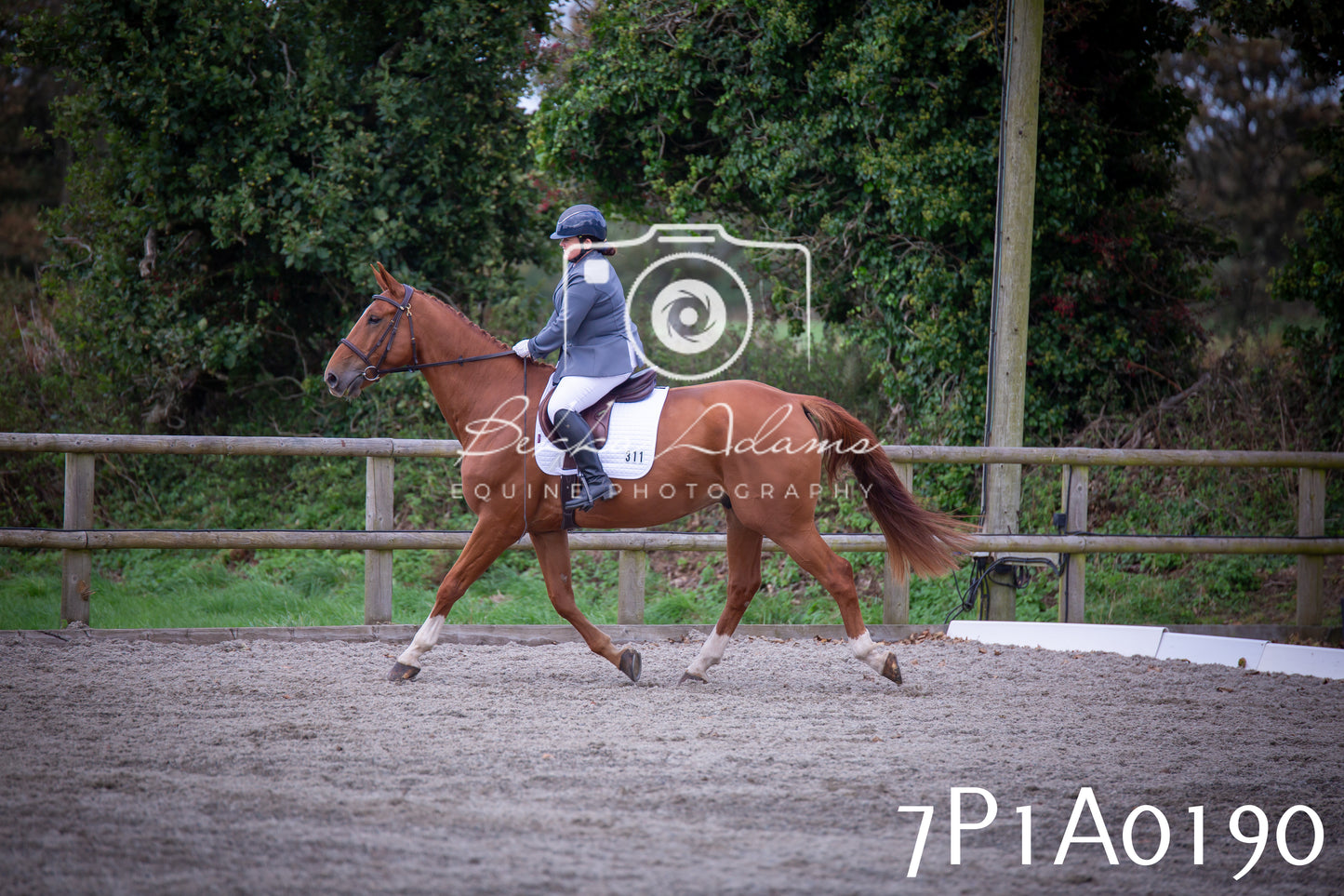 JHOYS 2025 - Dressage - 13th September
