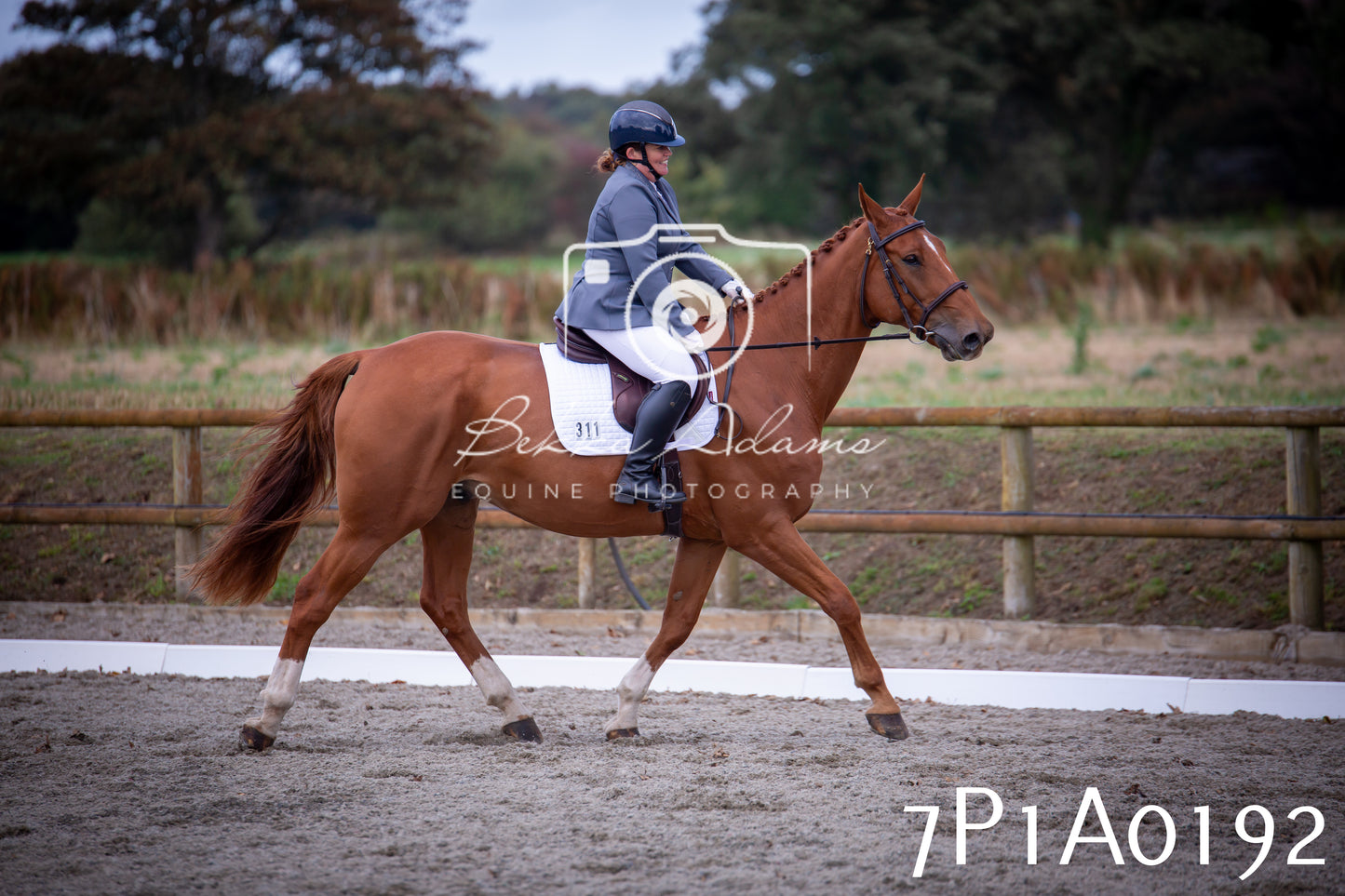 JHOYS 2025 - Dressage - 13th September