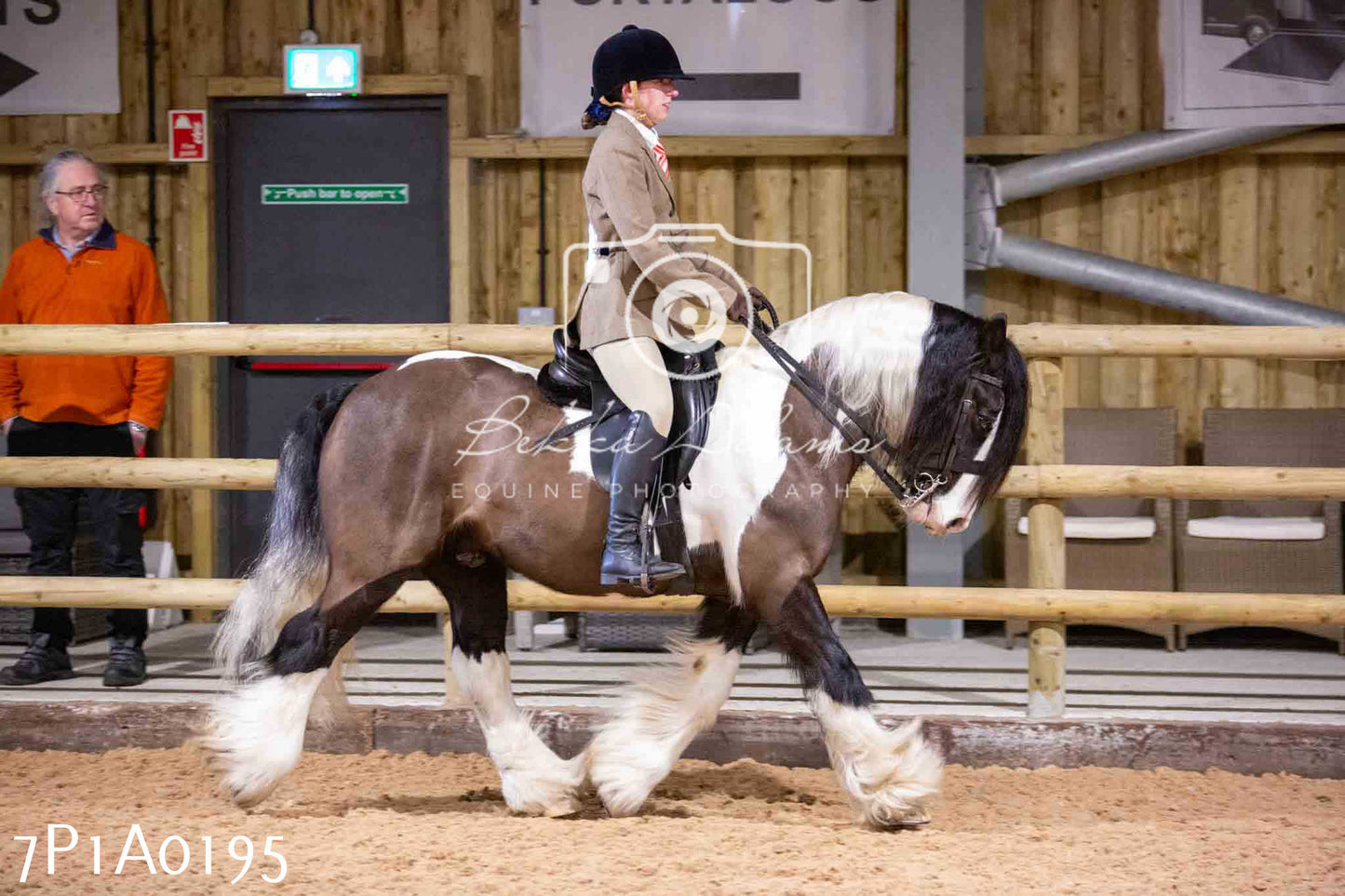 Home Farm Spring Show - Ridden Showing 24th March 2024 - Part 1