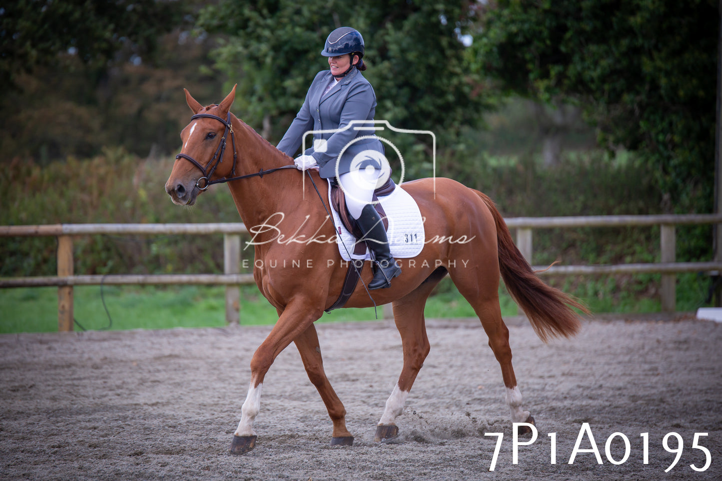 JHOYS 2025 - Dressage - 13th September