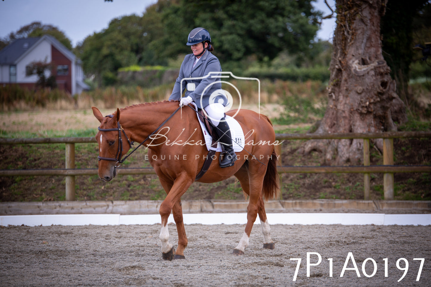 JHOYS 2025 - Dressage - 13th September