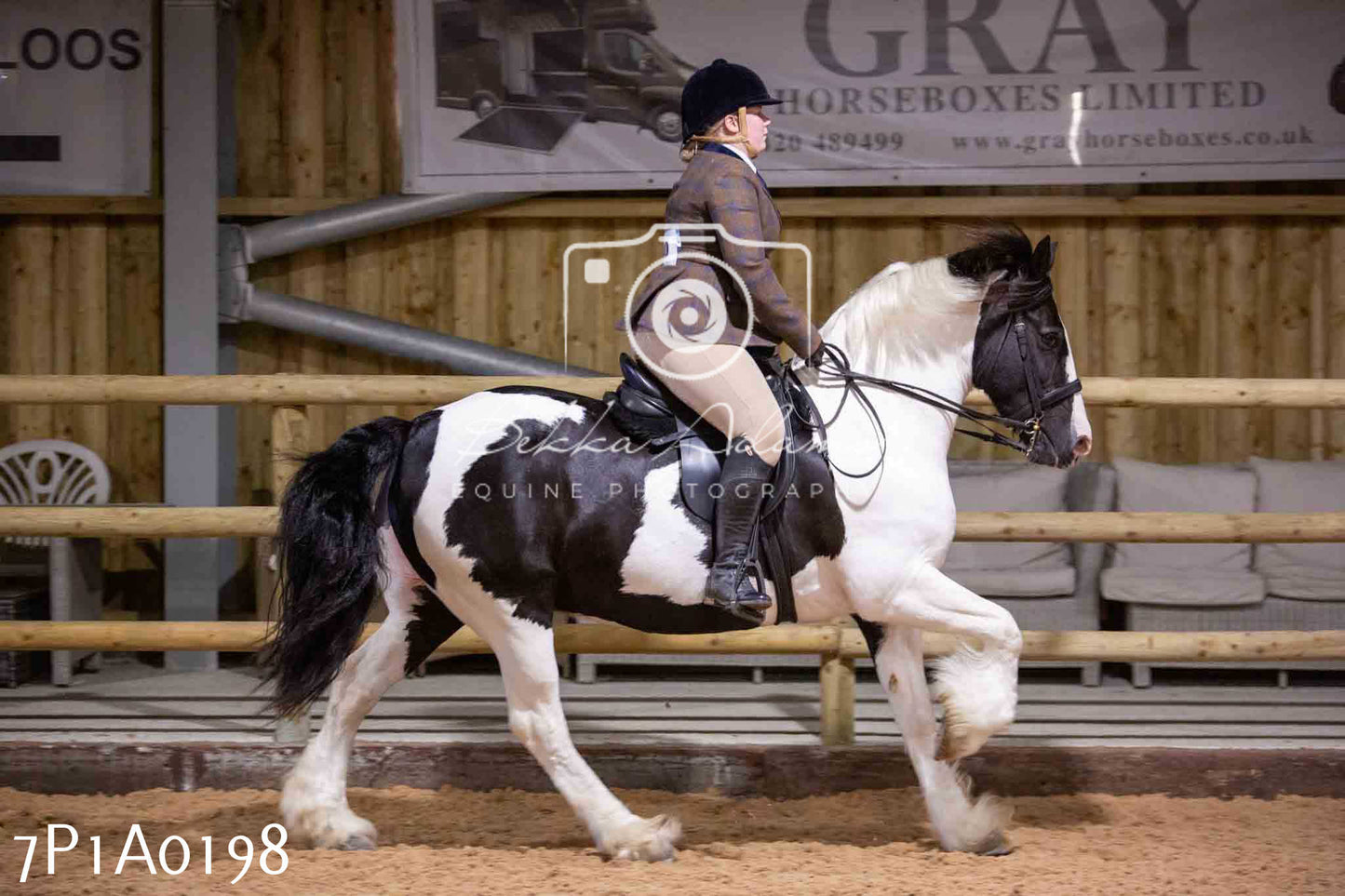 Home Farm Spring Show - Ridden Showing 24th March 2024 - Part 1