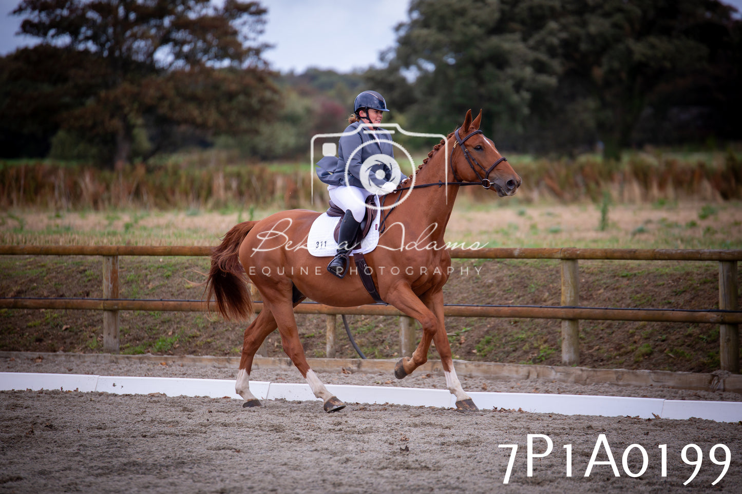 JHOYS 2025 - Dressage - 13th September